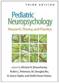 Cover image for Pediatric Neuropsychology: Research, Theory, and Practice