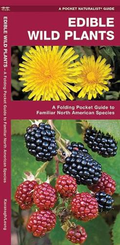 Cover image for Edible Wild Plants: A Folding Pocket Guide to Familiar North American Species