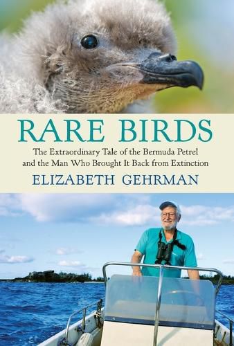 Cover image for Rare Birds: The Extraordinary Tale of the Bermuda Petrel and the Man Who Brought It Back from Extinction