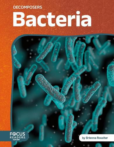 Cover image for Bacteria