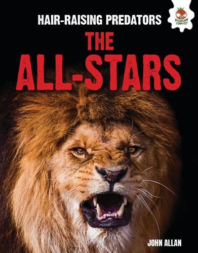 Cover image for The All-Stars