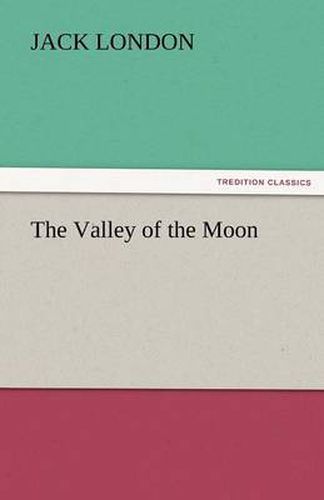 Cover image for The Valley of the Moon