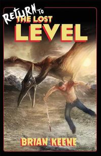 Cover image for Return to the Lost Level