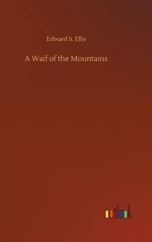 Cover image for A Waif of the Mountains