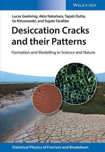 Cover image for Desiccation Cracks and their Patterns - Formation and Modelling in Science and Nature