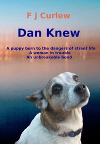 Cover image for Dan Knew