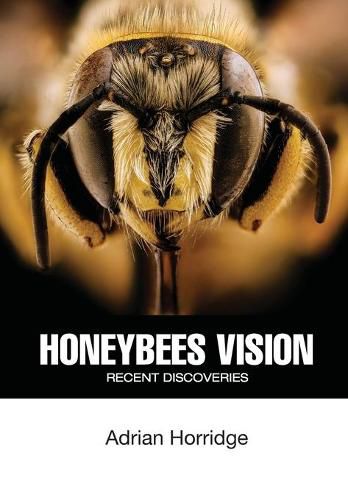 Cover image for Honeybees Vision: Recent Discoveries