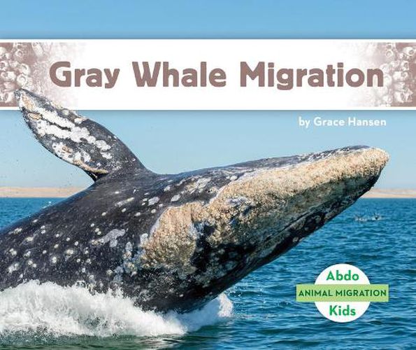 Cover image for Gray Whale Migration