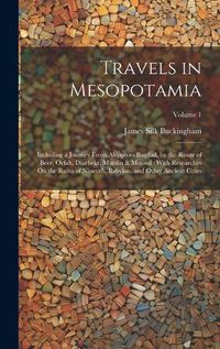 Cover image for Travels in Mesopotamia