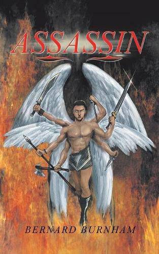 Cover image for Assassin