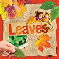 Cover image for Leaves