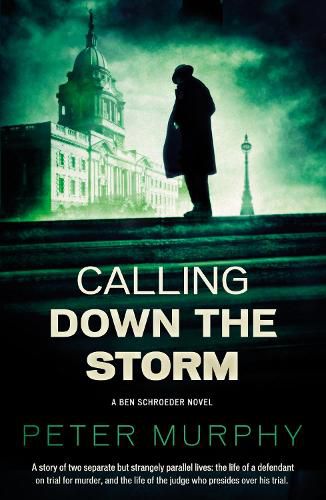 Cover image for Calling Down the Storm
