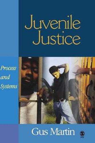 Cover image for Juvenile Justice: Process and Systems