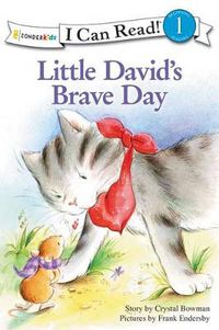 Cover image for Little David's Brave Day: Level 1