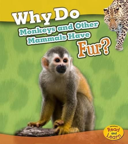 Cover image for Why Do Monkeys and Other Mammals Have Fur? (Animal Body Coverings)