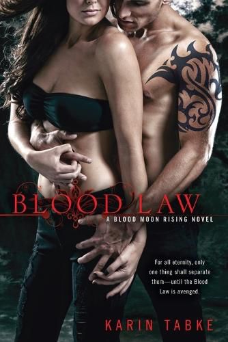 Cover image for Blood Law