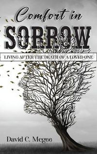 Cover image for Comfort in Sorrow