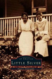 Cover image for Little Silver