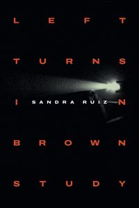 Cover image for Left Turns in Brown Study