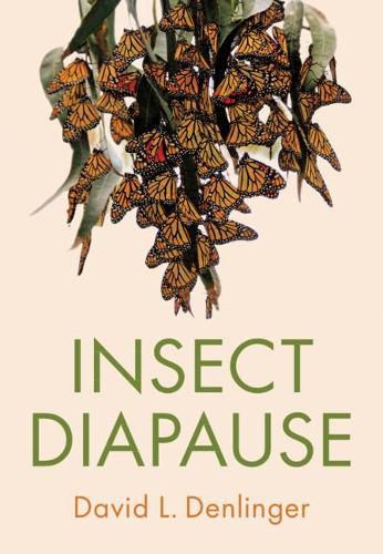 Cover image for Insect Diapause