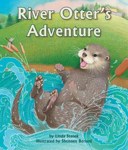 Cover image for River Otter's Adventure