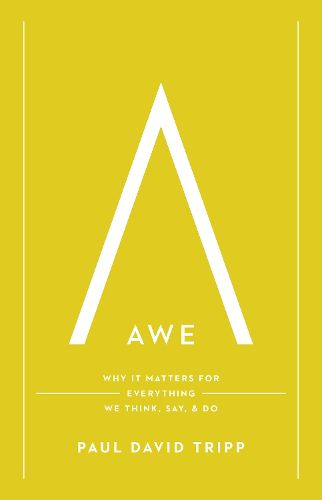 Cover image for Awe