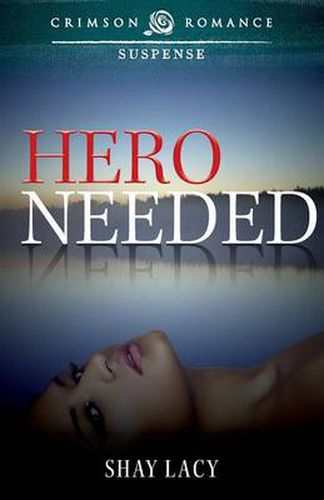 Cover image for Hero Needed