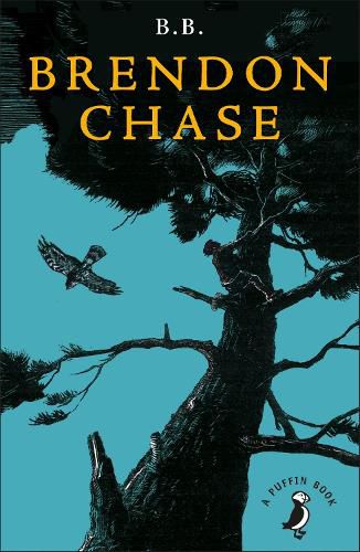 Cover image for Brendon Chase