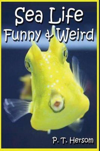 Cover image for Sea Life Funny & Weird Marine Animals: Learn with Amazing Photos and Facts About Ocean Marine Sea Animals.