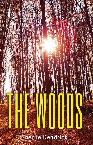 Cover image for The Woods