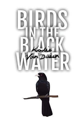 Cover image for Birds in the Black Water