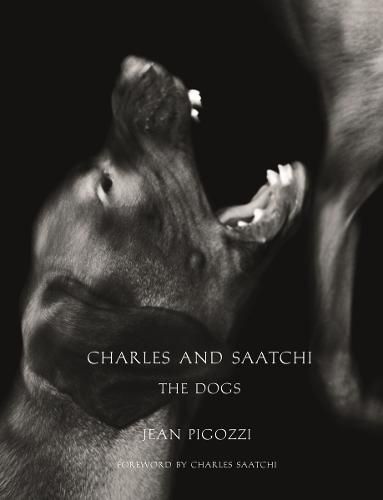 Cover image for Charles and Saatchi: The Dogs