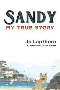 Cover image for Sandy