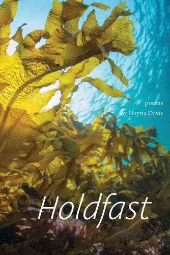 Cover image for Holdfast