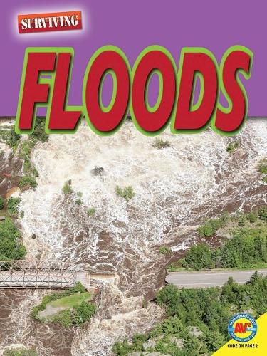 Cover image for Floods