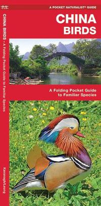 Cover image for China Birds: A Folding Pocket Guide to Familiar Species