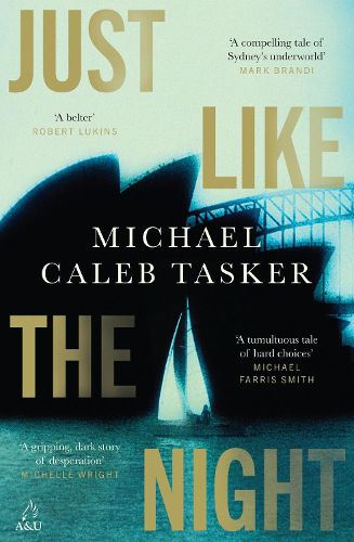 Cover image for Just Like the Night