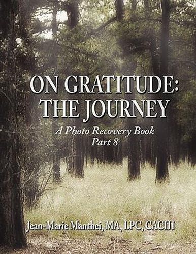 Cover image for On Gratitude: The Journey: A Photo Recovery Book Part 8