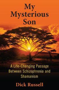 Cover image for My Mysterious Son: A Life-Changing Passage Between Schizophrenia and Shamanism