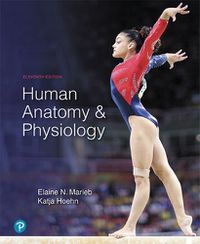 Cover image for Human Anatomy & Physiology