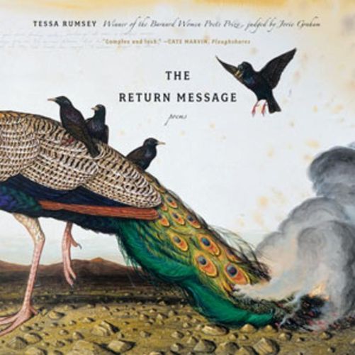 Cover image for Return Message