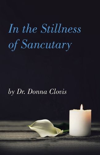 Cover image for In the Stillness of Sancutary