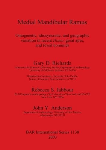 Medial Mandibular Ramus: Ontogenetic, idiosyncratic, and geographic variation in recent Homo, great apes, and fossil hominids