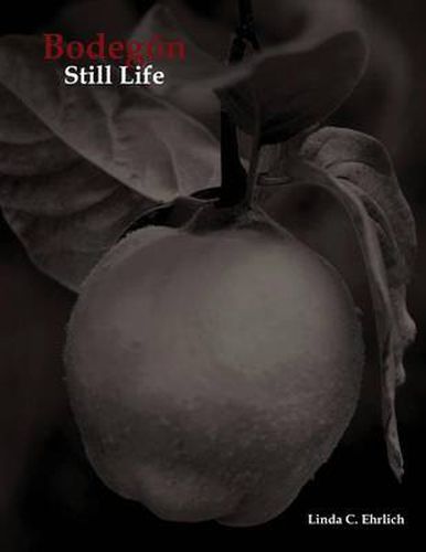 Cover image for Bodegon / Still Life