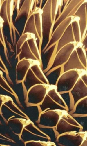 Cover image for Instabilities And Self-Organization In Materials: Volume I: Fundamentals Of Na