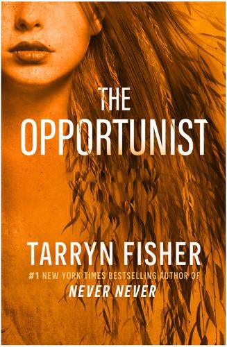 Cover image for The Opportunist