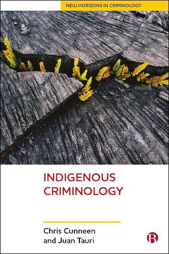 Cover image for Indigenous Criminology