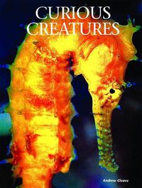 Cover image for Curious Creatures