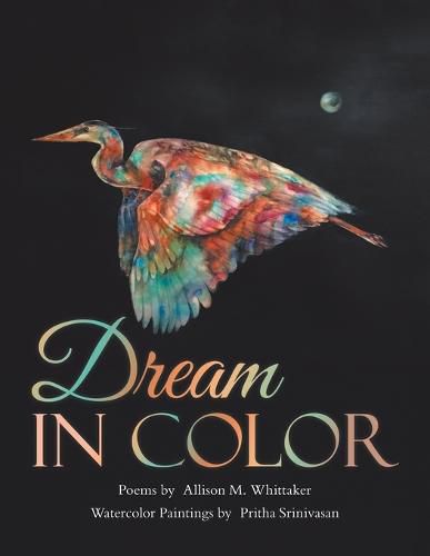 Cover image for Dream in Color