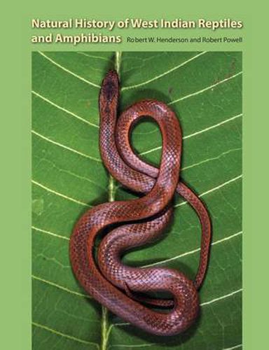 Cover image for Natural Histroy Of West Indian Reptiles And Amphibians